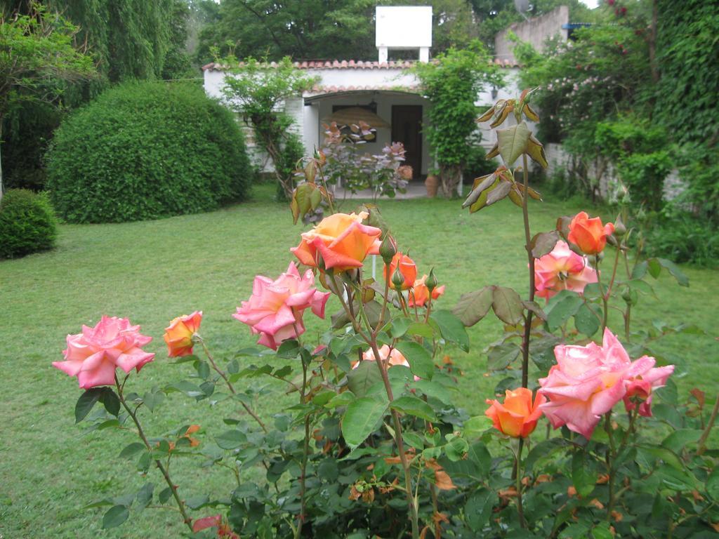 La Casa De Almirall Santa Rosa de Calamuchita Εξωτερικό φωτογραφία