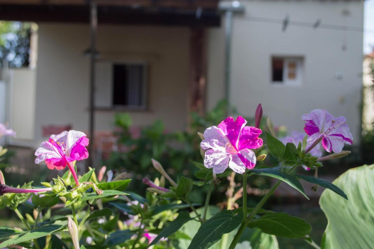 La Casa De Almirall Santa Rosa de Calamuchita Εξωτερικό φωτογραφία
